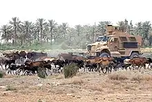 MRAP en déplacement en Irak