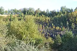 Ancienne mine de Lauriéras (Saint-Yrieix-la-Perche, Haute-Vienne).