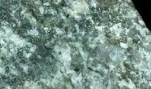 granodiorite