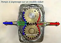 Pompe à engrenages simples