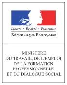 Logo du ministère du Travail, de l'Emploi, de la Formation professionnelle et du Dialogue social de 2014 à 2017.