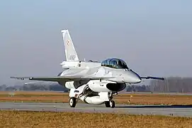 Un F-16 de la 31e en 2007.