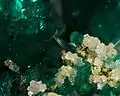 Dioptase, et minrecordite