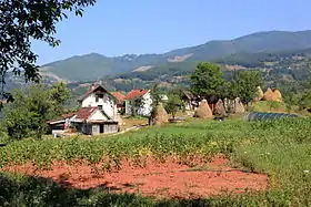 Mioče (Rudo)