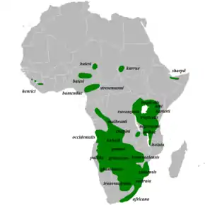 Description de l'image Mirafra africana distribution map, with races.png.