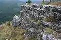 Vestiges de l'escalier est du château de Miramont