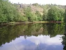 Un lac calme, lisse comme un miroir, entouré d'arbres.