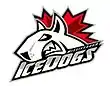 Description de l'image Mississauga IceDogs.jpg.