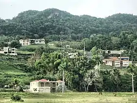 Moca (Porto Rico)