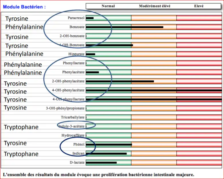 Flore de putréfaction de type Clostridium difficile