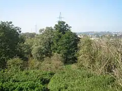 Vue depuis l'ancien talus de l'autoroute.