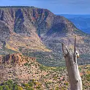 Vue du Mogollon Rim à l'Est de Pine (Arizona)