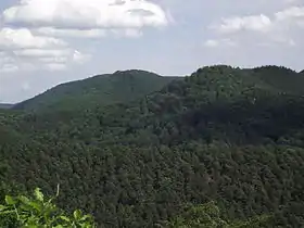 Vue du Mohnenberg (Vasgovie de l'est) depuis le château de Schœneck