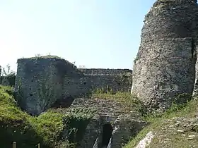 Le moineau du château médiéval de Pouancé.