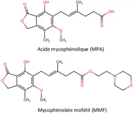 Image illustrative de l’article Acide mycophénolique