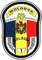 Image illustrative de l’article 1re brigade d'infanterie motorisée (Moldavie)