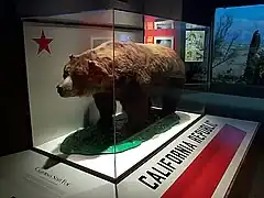 L'ours Monarch, qui servit de modèle pour le drapeau.