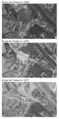 Vues aériennes comparées 1966-1972-1977