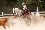 Enseignement, jusqu'au premier niveau de compétition, le moniteur d'équitation peut faire passer des galops et enseigner dans le domaine équestre.