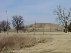 Monks Mound.