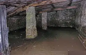 Bergerie en pierre sèche et à toiture à une seule pente, couverte de tules canal, à Bliauge à Mons, dans le Var : les pannes sont soutenues par une file de piliers maçonnés