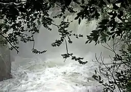 Barrage de capture sur la Siagnole, après la pluie.