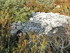 Cabane engloutie par la végétation (2).