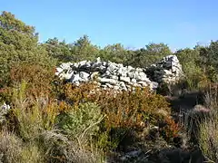 Grande cabane écroulée (Hauts de Mons).