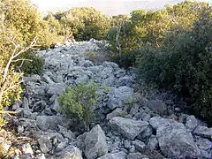 Habitat fortifié de Roubiès.