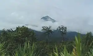 Mont Cameroun vue de Limbé