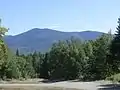 Le sommet du mont Gosford vu depuis un chemin forestier à quelques km au nord.