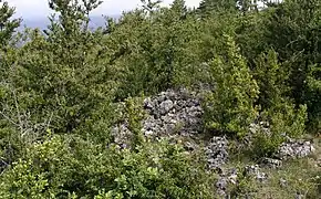 Enceinte protohistorique du Mont Buisson.