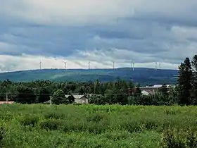 En avant-plant, un champ. En arrière-plan, une colline boisée plantée d'éoliennes.