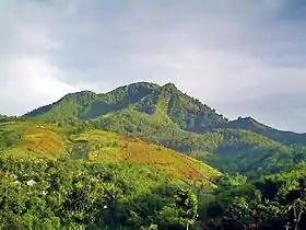 Vue du mont Manglayang.