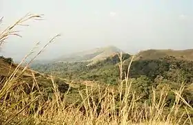 Vue dans la région du mont Nimba.