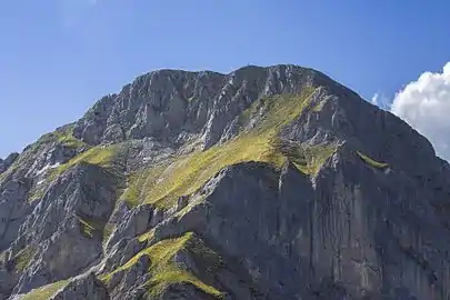 Vue de la face sud du mont Pécloz.