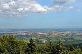 La plaine d'Alsace vue depuis le mont Sainte-Odile.