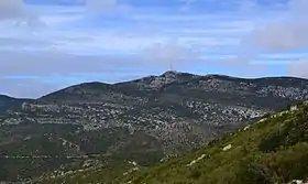 Vue de la face sud du mont Saint-Baudille.
