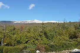 Vue sur le sommet entre le virage du bois et la route forestière de Perrache.