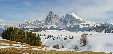 Vue depuis Castelrotto vers l'est de l'Alpe de Siusi, le Tofane (à 30 km), le Sassolungo et le Sassopiatto dans les Dolomites.