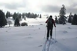 Montée au mont de l'Herba.