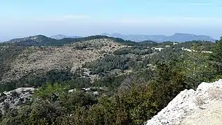 Vue entre la Tête des Mines et le gite forestier des Ramayettes.