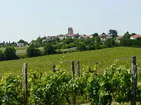 Montagnac-sur-Auvignon