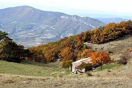 Cime Rozier vue de la ferme de la Lance.