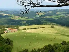 La Montagne bourbonnaise, dans le sud-est.