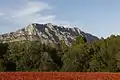 Montagne Sainte-Victoire (vue du sud-ouest).