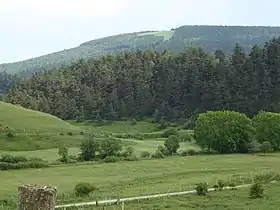 Vue du versant nord de la montagne du Goulet depuis les environs de Belvezet.