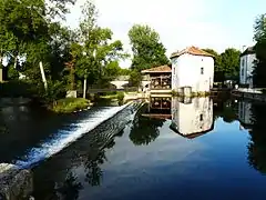 La Dronne à Montagrier, au Moulin du Pont