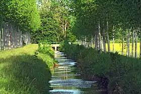 La rivière de l'Hozain, ici à Montceaux-lès-Vaudes.