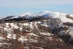 Vue du sommet du monte del Falò.